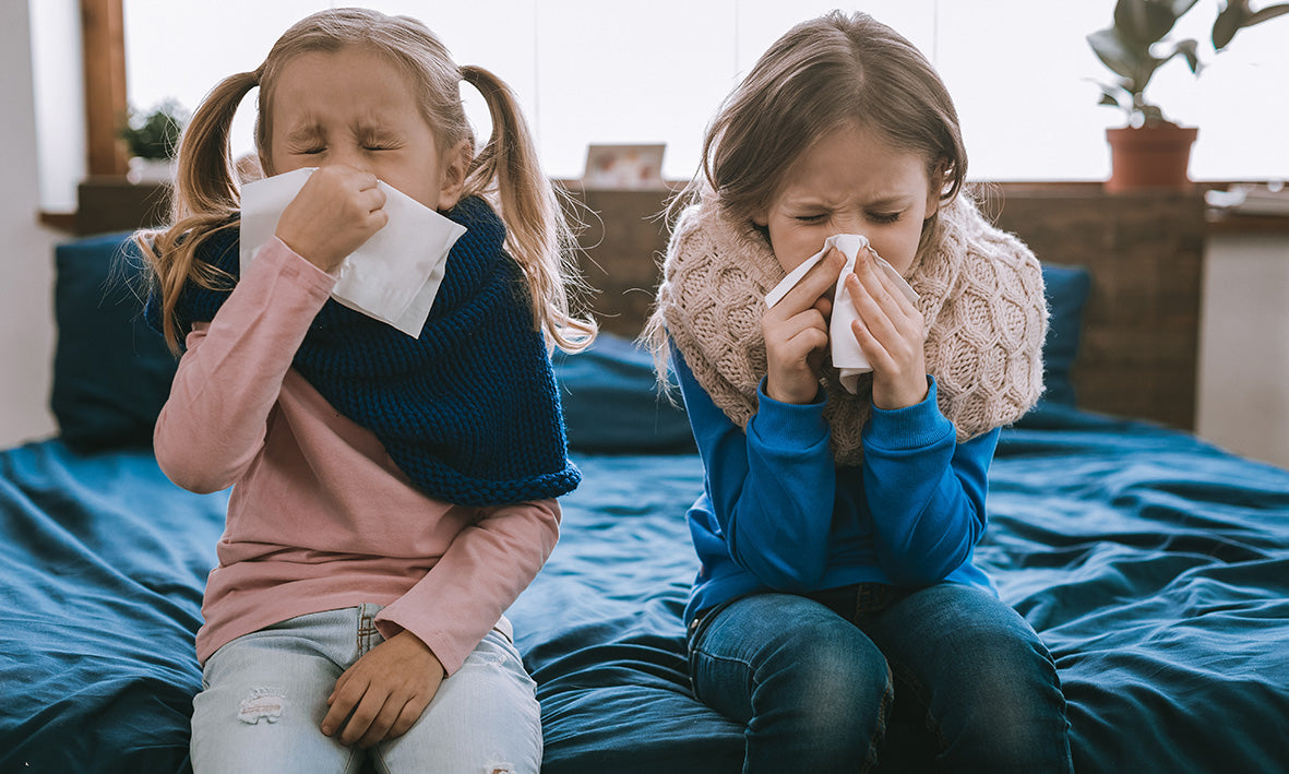 The Science of Clean Air: How Air Purifiers Work to Protect Your Family